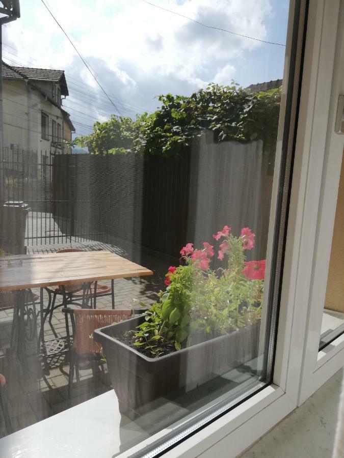 Vintage Apartment - Ultracentral, 2 Dormitoare Sighişoara Eksteriør billede